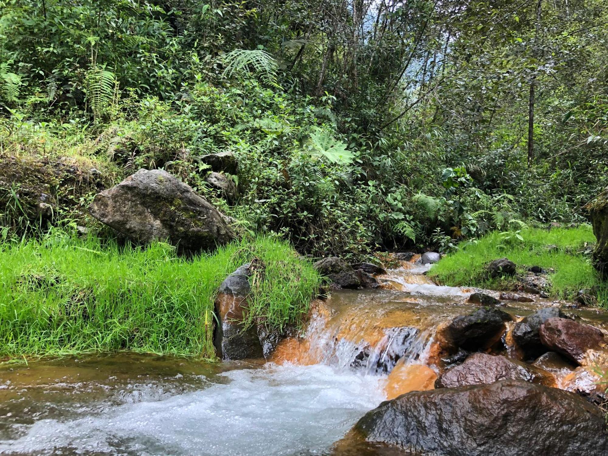 Mountain Chalet - Tungurahua Hot Springs/Aguas Termales Banos  Luaran gambar
